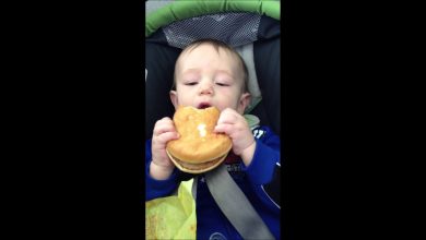 The Curious Case of the Baby Hamburger - Viral Trending Video