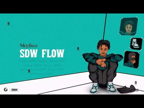 Skyface SDW – SDW Flow Ft The SDWs